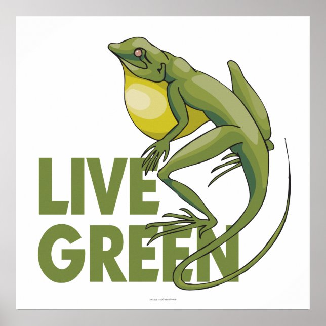 Live Green Poster (Vorne)