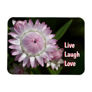 Live Lagh Liebe Daisy Magnet
