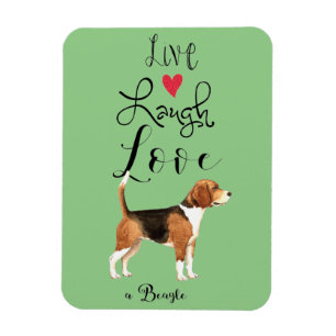 Live Lagh Liebe ein Beagle Magnet