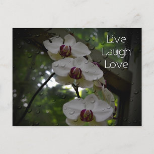 Live Lagh Liebe-Orchid Postkarte