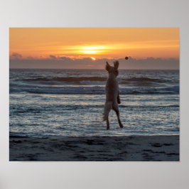 "Live Large" Beach Sunset Poster (14" x 11")