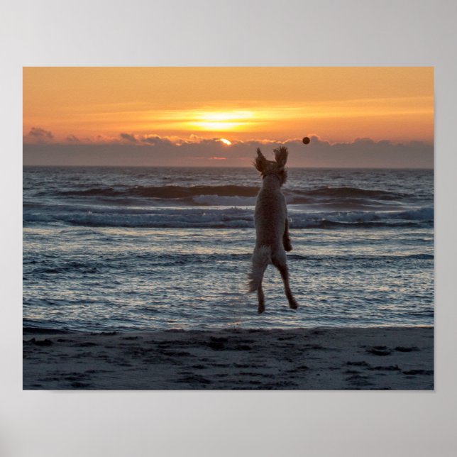 "Live Large" Beach Sunset Poster (14" x 11") (Vorne)
