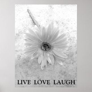 Live-Liebe Laugh Black und White Gerber Daisy Poster