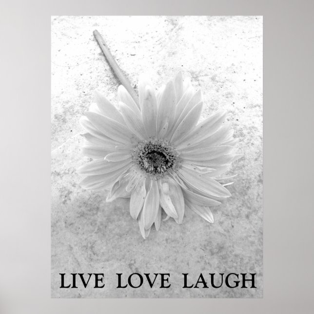Live-Liebe Laugh Black und White Gerber Daisy Poster (Vorne)