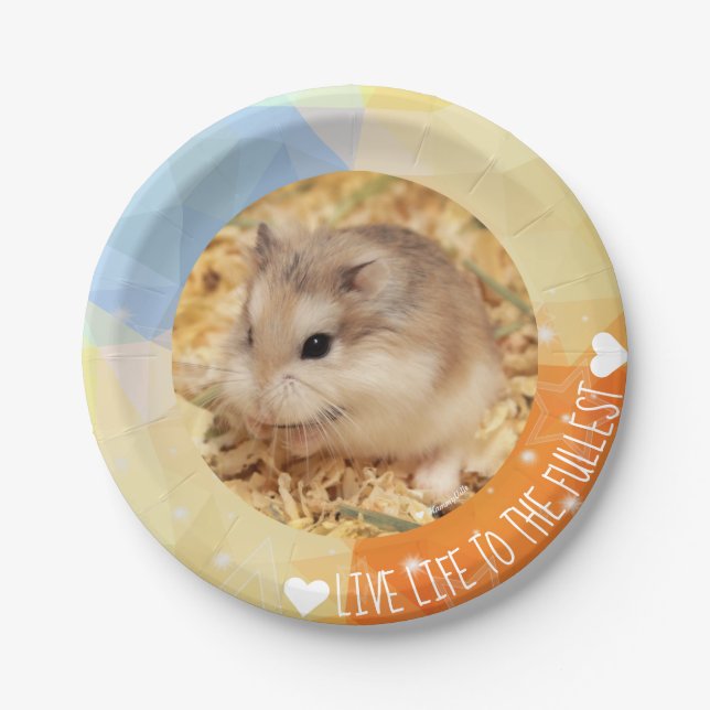 Live Life to Fullest - Hammyville Hamsters Pappteller (Vorderseite)