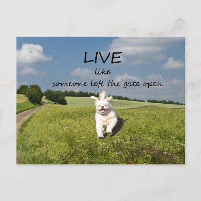 "Live like Someone Verlassen the Gate Open" Postka Postkarte (Vorderseite)
