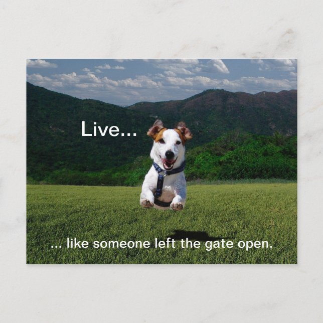 "Live like Someone Verlassen the Gate Open" Postka Postkarte (Vorderseite)