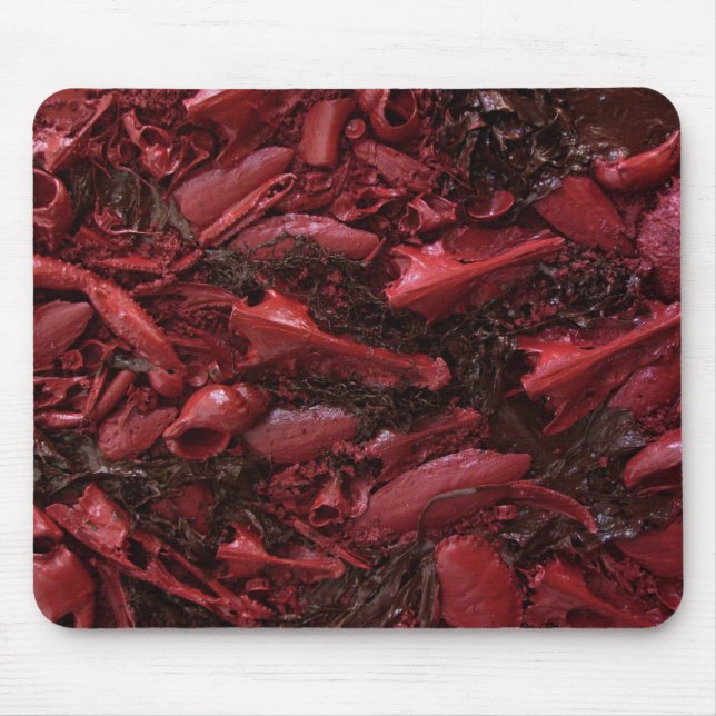 Live! Mousepad (Vorne)