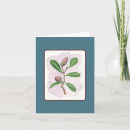 Live Oak Card: Blau und Braun Karte