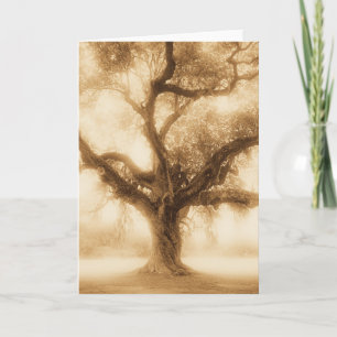 Live Oak - MW1100 Karte