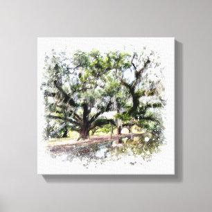 *~* Live Oak New Orleans Living Oaks Kunstmalerei Leinwanddruck