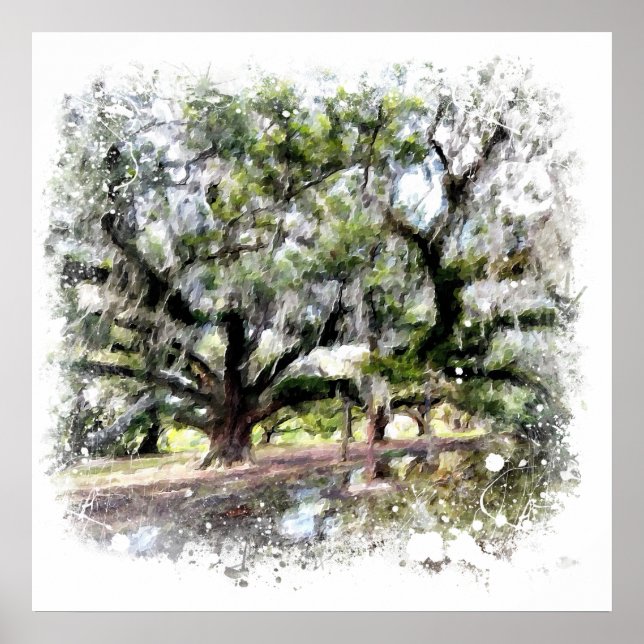 *~* Live Oak New Orleans Living Oaks Kunstmalerei Poster (Vorne)