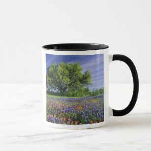 Live Oak & Texas Paintbrush und Texas Tasse