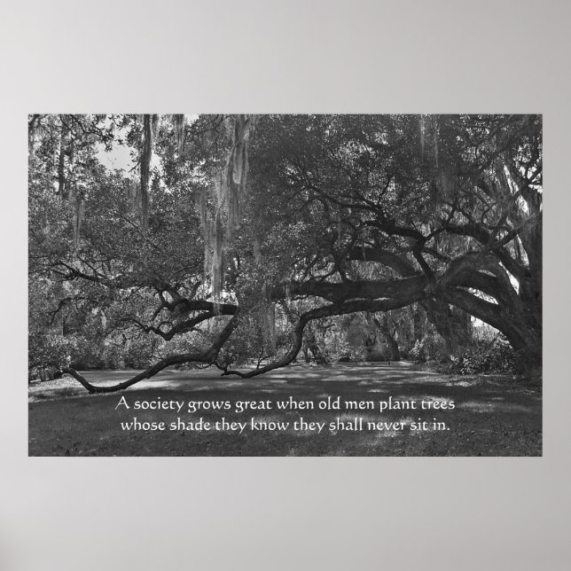 Live Oak Trees Proverb Poster Print (Vorne)
