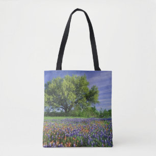Live Oak und Texas Paintbrush und Texas