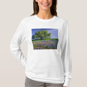 Live Oak und Texas Paintbrush und Texas T-Shirt