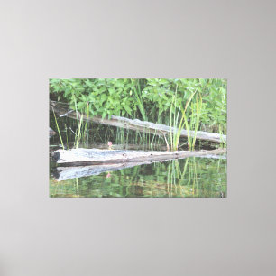 Live Reflektion Leinwanddruck