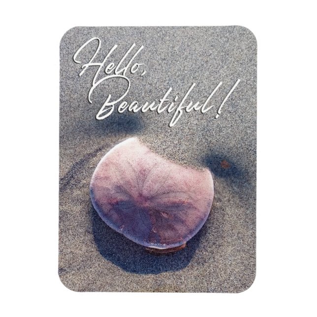 Live Sand Dollar Foto Hallo Beautiful Magnet (Vertikal)