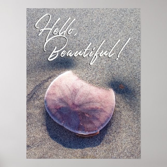 Live Sand Dollar Foto Hallo Schönes Poster (Vorne)