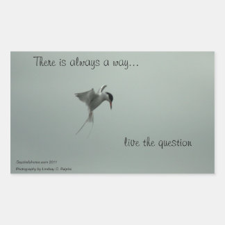 Live the Question Stickers
