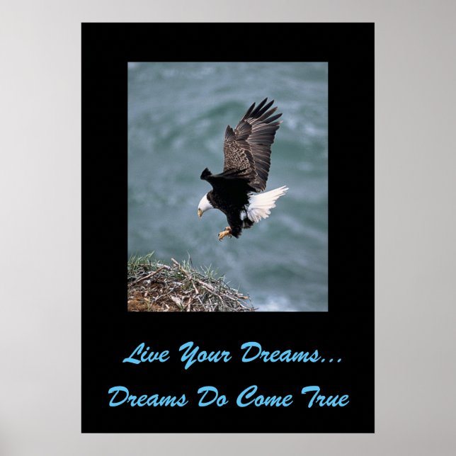 Live Your Dream Poster (Vorne)