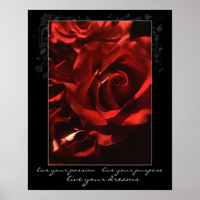 Live Your Passion Rose Poster (Vorne)