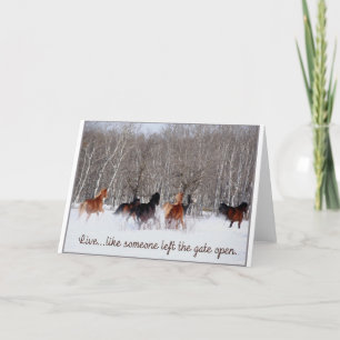 Liveleben ..... wie jemand verließ das Tor offen! Karte