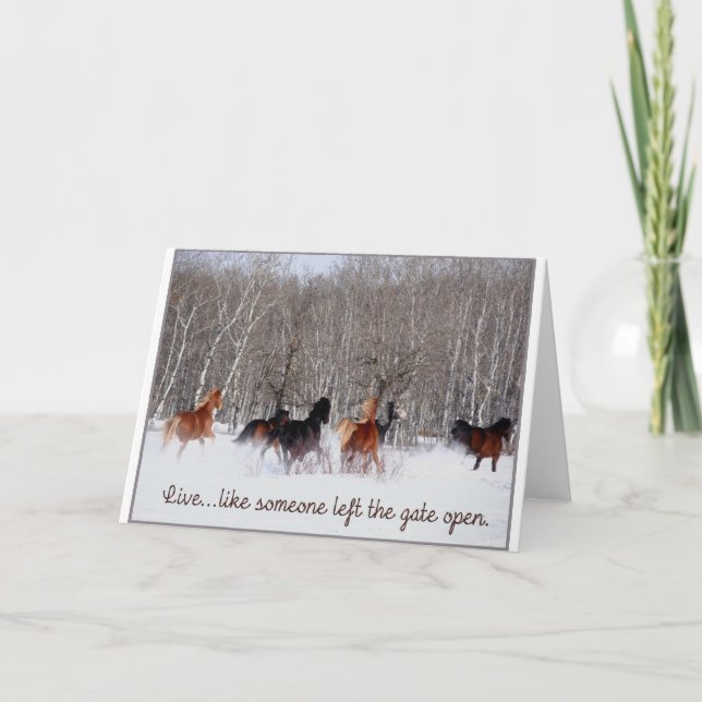Liveleben ..... wie jemand verließ das Tor offen! Karte (Vorderseite)