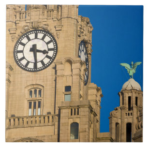 Liver Building, Liverpool, Merseyside, England Fliese