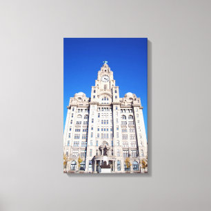 Liver Canvas Print Leinwanddruck