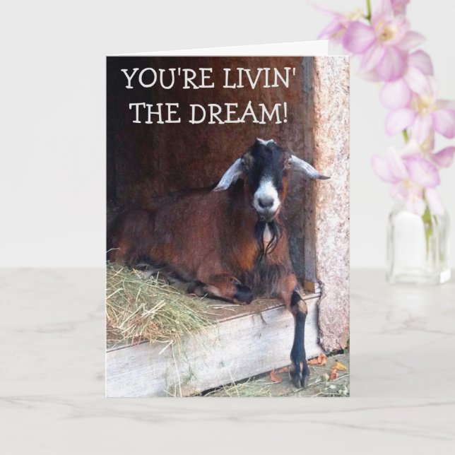 Livin' Dream Funny Goat Geburtstag Karte (Orchidee)