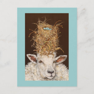 Livin' High on the Sheep Postcard Postkarte