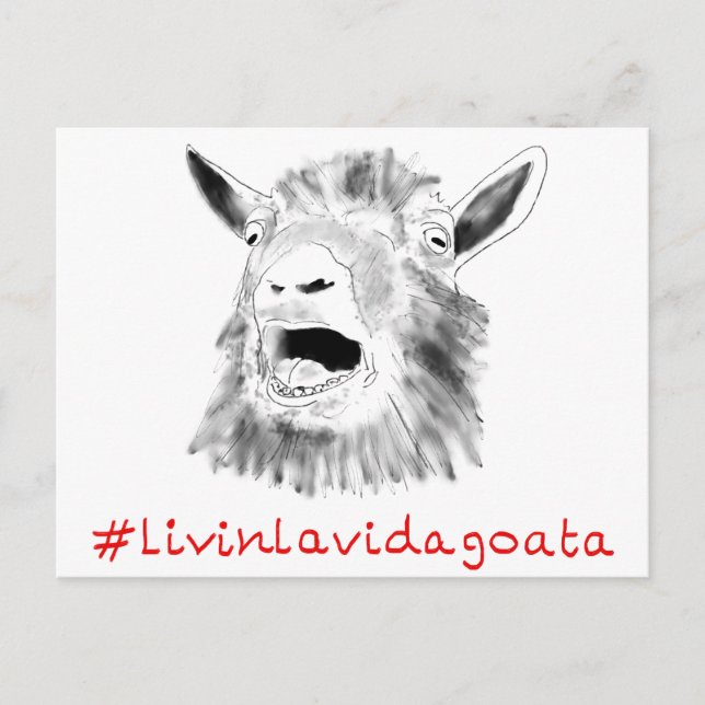 Livin La Vida Goata Funny Screening Ziege Zeichnen Postkarte (Vorderseite)