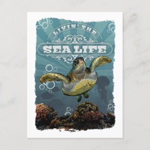 Livin' Sea Life Schildkröte Postkarte