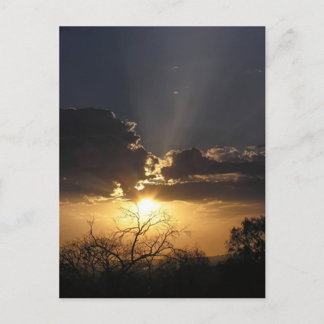 Living Art Views Postkarte (Vorderseite)