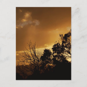 Living Art Views Postkarte