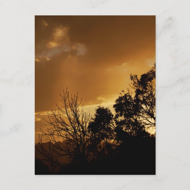 Living Art Views Postkarte (Vorderseite)