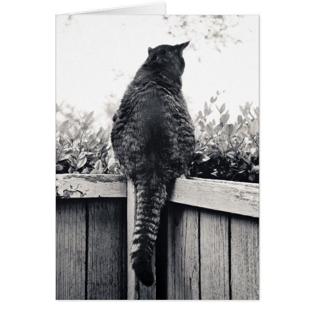 Living Gargoyle (Vorne)