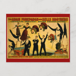 Livingstone Troupe Circus Poster Postkarte