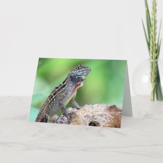 Lizard (Brown Anole) (6891) - Leere Innenseite Karte (Vorderseite)