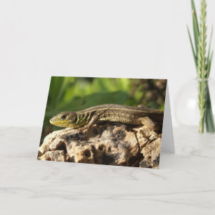 Lizard Card Karte