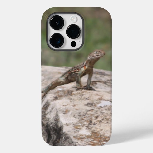Lizard Case-Mate iPhone Hülle (Rückseite)