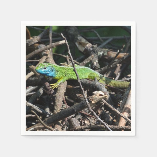 Lizard Foto Cocktail Paper Napkins Serviette (Vorderseite)