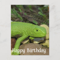 Lizard im Garten glücklich Geburtstag