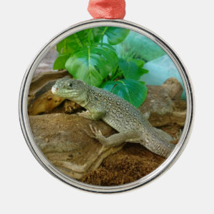 Lizard in einem Terrarium Ornament Aus Metall