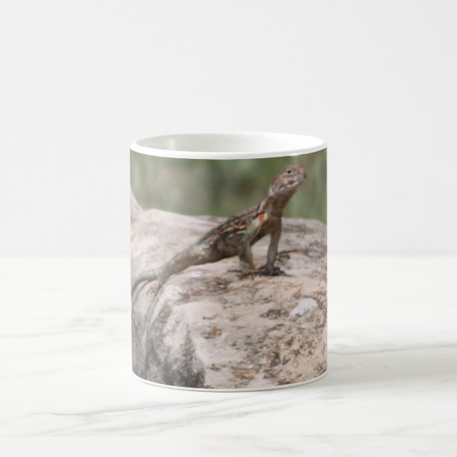 Lizard Kaffeetasse (Mittel)