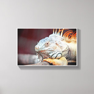 Lizard Leinwanddruck