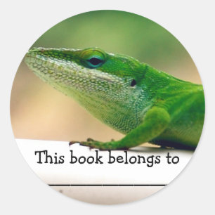 Lizard Lover Anole Buchsticker Runder Aufkleber