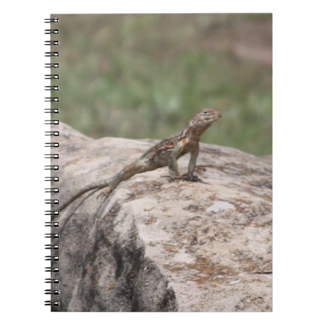Lizard Notizblock (Vorderseite)