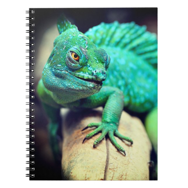 Lizard Notizblock (Vorderseite)